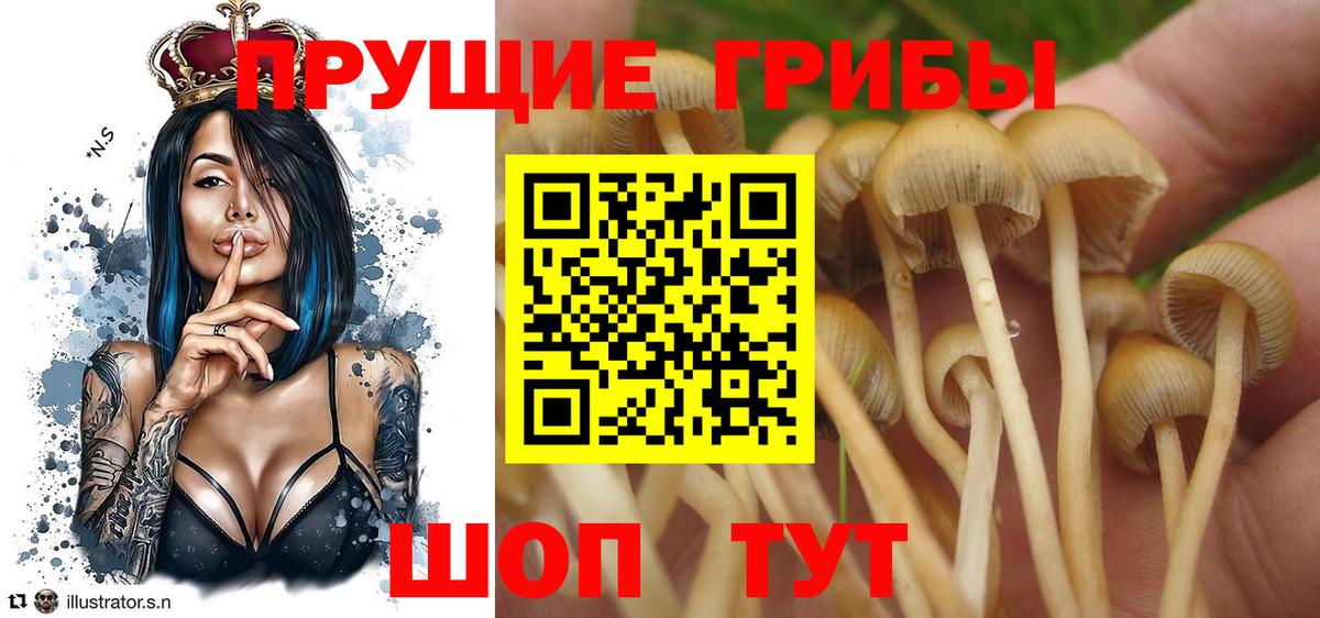 Реутов  Псилоцибиновые грибы ЛСД  Вход с VPN 